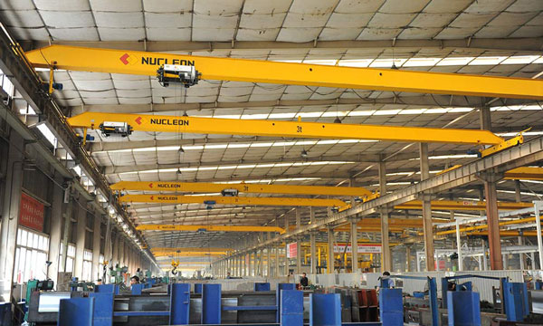 LDP Electric Single Girder Overhead Crane 2