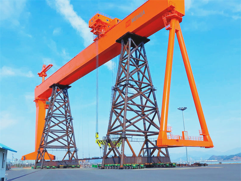 Goliath gantry crane 2